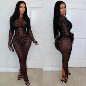 Sexy Sheer Mesh Rhinestone Bodycon Dress