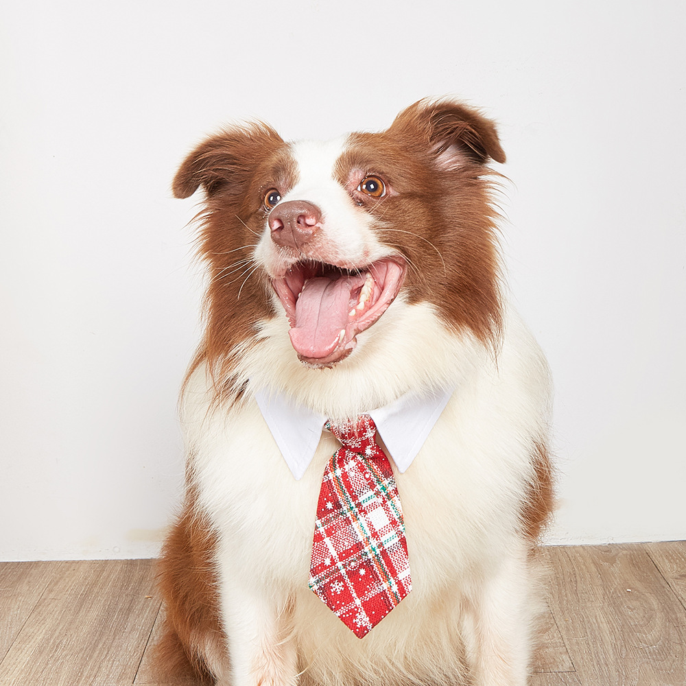 New British style handsome Christmas dog collar Christmas pet tie - Bild 2