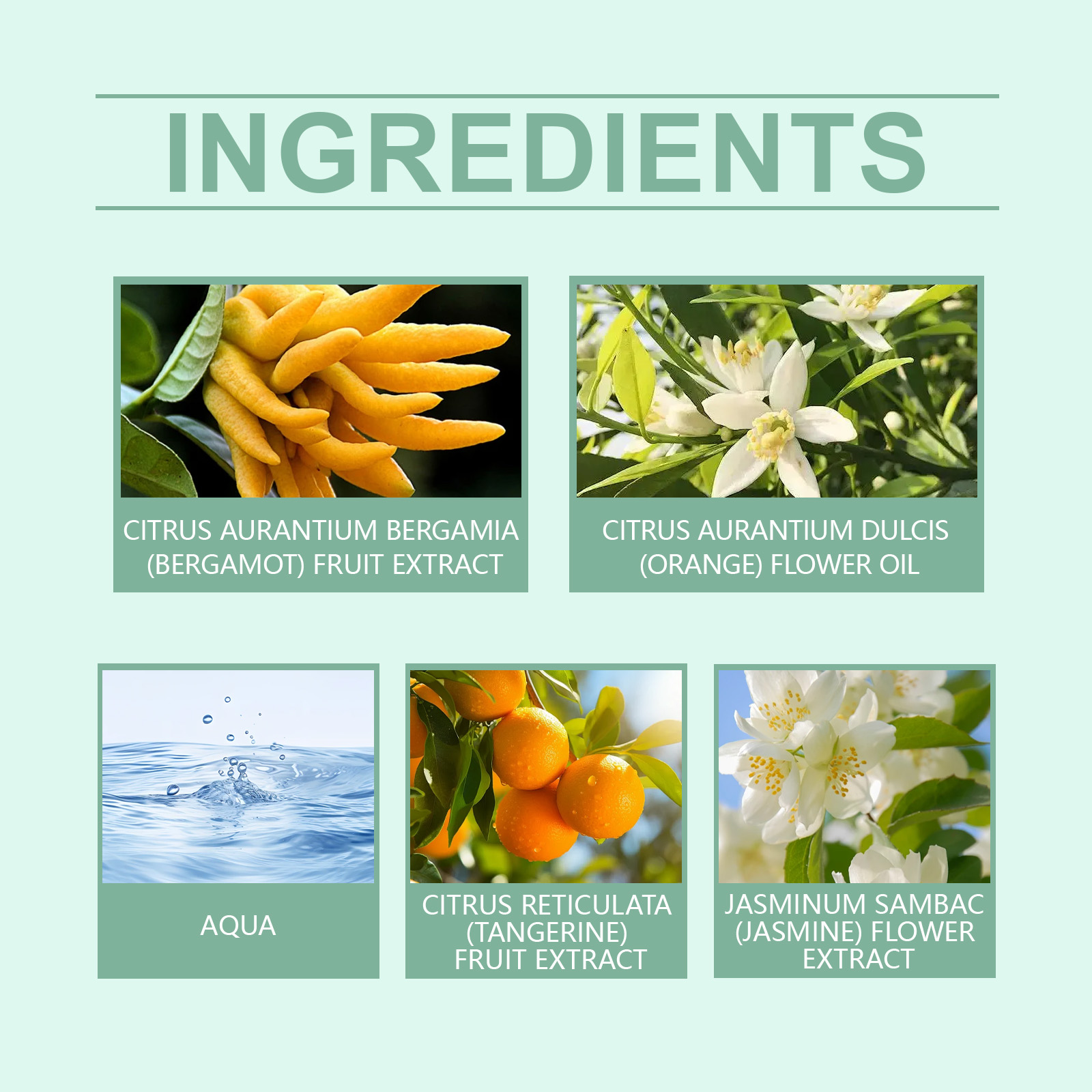 Roxelis Fresh Neutral Fragrance Bergamot Citrus Long-Lasting Light Fragrance Fresh Portable Charm Stay Fragrance Fine Mist Perfume - Bild 5